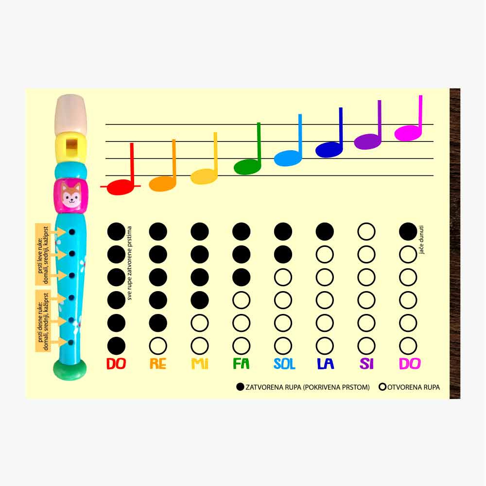 SOVA  šarene note - muzički set za djecu 