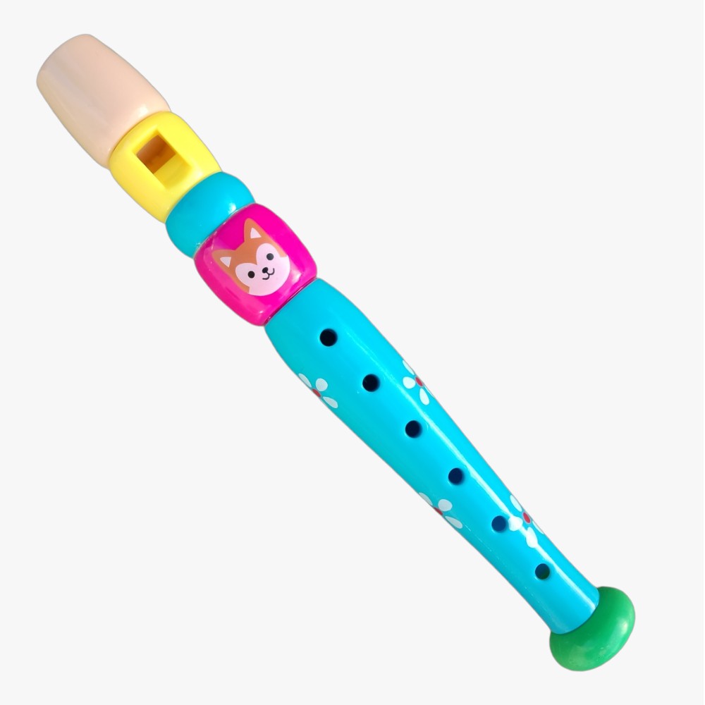 SOVA  šarene note - muzički set za djecu 