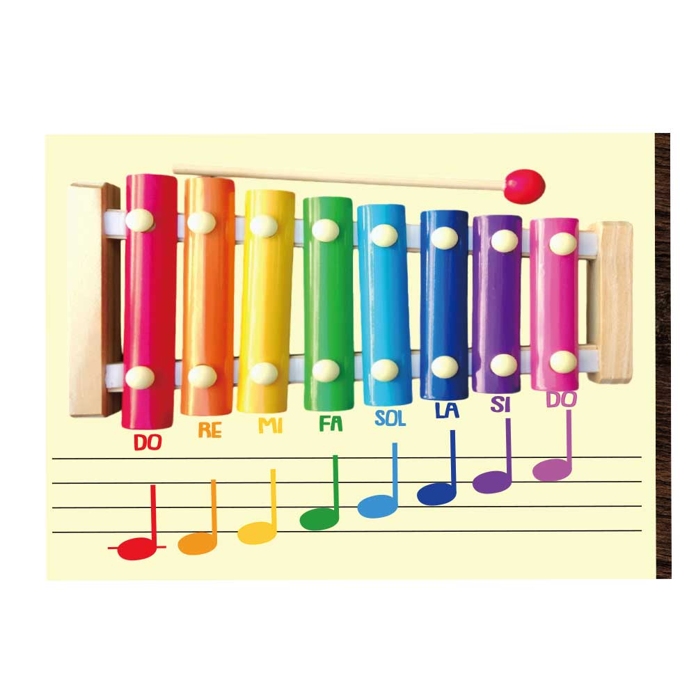 SOVA  šarene note - muzički set za djecu 